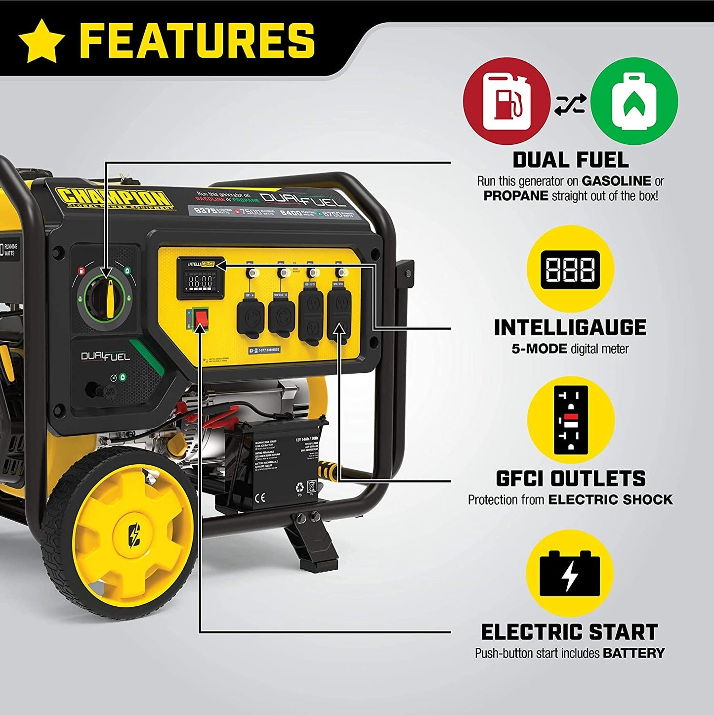 100891 9375/7500-Watt Dual Fuel Portable Generator, Electric Start